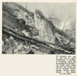 Panorama 12 maart 1936 Pijl