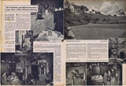 Krant grotbewoonster